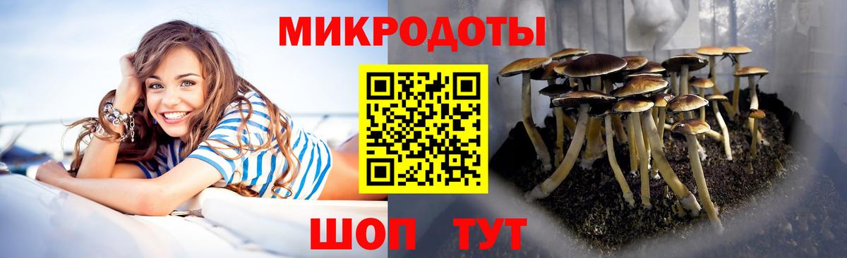 Псилоцибиновые грибы мицелий Димитровград
